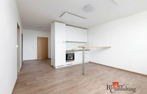 Apartment for rent, 1+KK - Studio, 20m<sup>2</sup>