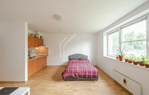 Apartment for rent, 1+KK - Studio, 37m<sup>2</sup>