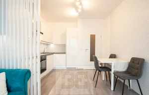 Apartment for rent, 1+KK - Studio, 44m<sup>2</sup>