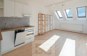 Apartment for rent, 1+KK - Studio, 30m<sup>2</sup>