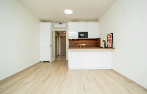 Apartment for rent, 1+KK - Studio, 31m<sup>2</sup>