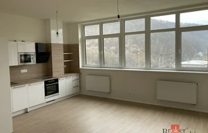 Apartment for rent, 1+KK - Studio, 40m<sup>2</sup>