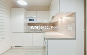 Apartment for rent, 2+kk - 1 bedroom, 58m<sup>2</sup>