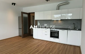 Apartment for rent, 1+KK - Studio, 45m<sup>2</sup>