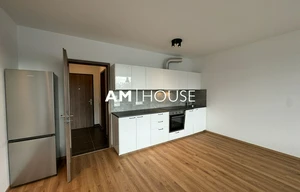 Apartment for rent, 1+KK - Studio, 45m<sup>2</sup>