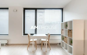 Apartment for rent, 1+KK - Studio, 40m<sup>2</sup>