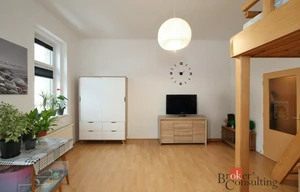 Apartment for rent, 1+1 - Studio, 52m<sup>2</sup>