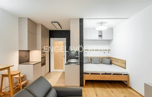 Apartment for rent, 1+KK - Studio, 36m<sup>2</sup>