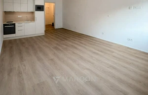 Apartment for rent, 1+KK - Studio, 36m<sup>2</sup>