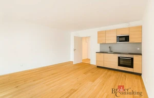 Apartment for rent, 1+KK - Studio, 38m<sup>2</sup>