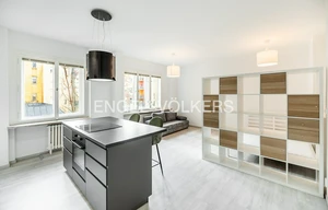 Apartment for rent, 1+KK - Studio, 47m<sup>2</sup>