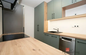 Apartment for rent, 2+kk - 1 bedroom, 48m<sup>2</sup>