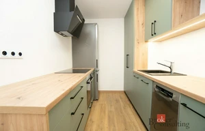 Apartment for rent, 2+kk - 1 bedroom, 48m<sup>2</sup>