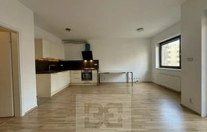 Apartment for rent, 1+KK - Studio, 42m<sup>2</sup>