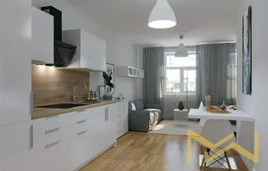 Apartment for rent, 1+KK - Studio, 56m<sup>2</sup>