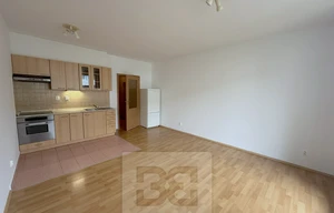Apartment for rent, 1+KK - Studio, 31m<sup>2</sup>