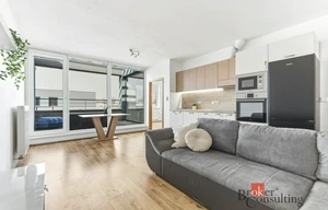 Apartment for rent, 2+kk - 1 bedroom, 55m<sup>2</sup>