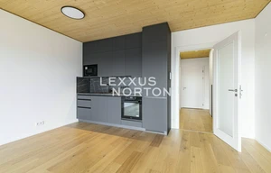 Apartment for rent, 1+KK - Studio, 41m<sup>2</sup>