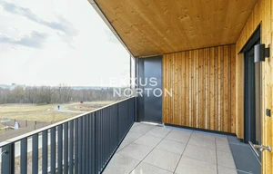 Apartment for rent, 1+KK - Studio, 41m<sup>2</sup>