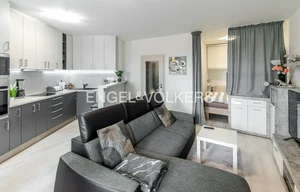 Apartment for rent, 1+KK - Studio, 47m<sup>2</sup>