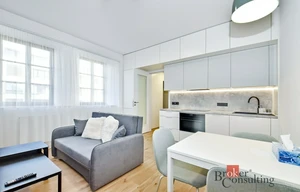 Apartment for rent, 1+KK - Studio, 36m<sup>2</sup>