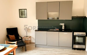 Apartment for rent, 1+KK - Studio, 36m<sup>2</sup>