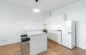 Apartment for rent, 1+KK - Studio, 44m<sup>2</sup>