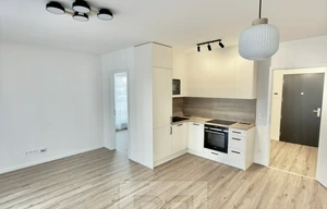 Apartment for rent, 2+kk - 1 bedroom, 48m<sup>2</sup>