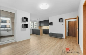 Apartment for rent, 2+kk - 1 bedroom, 50m<sup>2</sup>