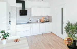 Apartment for rent, 2+kk - 1 bedroom, 56m<sup>2</sup>