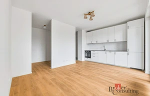 Apartment for rent, 1+KK - Studio, 42m<sup>2</sup>