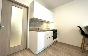 Apartment for rent, 1+KK - Studio, 33m<sup>2</sup>
