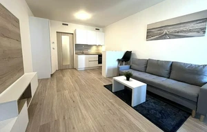 Apartment for rent, 1+KK - Studio, 33m<sup>2</sup>
