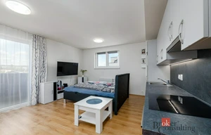 Apartment for rent, 1+KK - Studio, 40m<sup>2</sup>