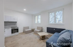 Apartment for rent, 1+KK - Studio, 30m<sup>2</sup>