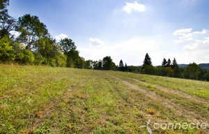 Meadow for sale, 14836m<sup>2</sup>