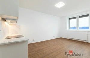 Apartment for rent, 2+kk - 1 bedroom, 41m<sup>2</sup>