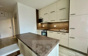 Apartment for rent, 1+KK - Studio, 44m<sup>2</sup>
