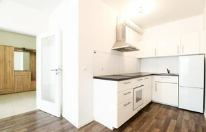 Apartment for rent, 2+kk - 1 bedroom, 55m<sup>2</sup>