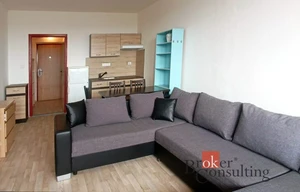 Apartment for rent, 1+KK - Studio, 29m<sup>2</sup>