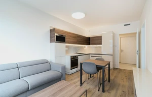 Apartment for rent, 2+kk - 1 bedroom, 52m<sup>2</sup>