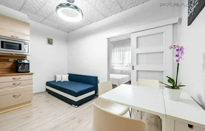 Apartment for rent, 2+kk - 1 bedroom, 49m<sup>2</sup>