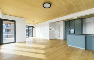 Apartment for rent, 4+kk - 3 bedrooms, 110m<sup>2</sup>