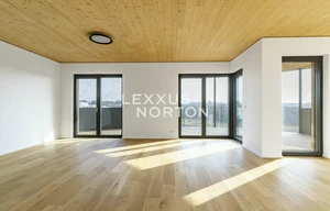 Apartment for rent, 4+kk - 3 bedrooms, 110m<sup>2</sup>