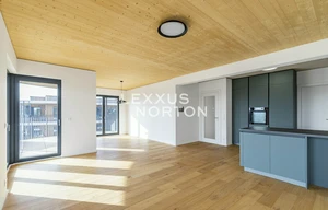 Apartment for rent, 4+kk - 3 bedrooms, 110m<sup>2</sup>