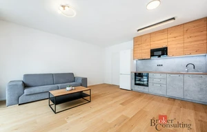 Apartment for rent, 1+KK - Studio, 36m<sup>2</sup>