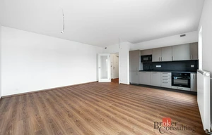 Apartment for rent, 1+KK - Studio, 42m<sup>2</sup>