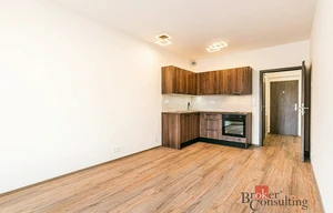 Apartment for rent, 1+KK - Studio, 27m<sup>2</sup>