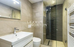 Apartment for rent, 1+KK - Studio, 41m<sup>2</sup>