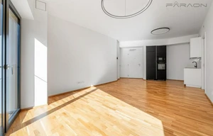 Apartment for rent, 2+kk - 1 bedroom, 55m<sup>2</sup>